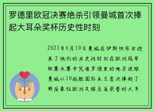 罗德里欧冠决赛绝杀引领曼城首次捧起大耳朵奖杯历史性时刻